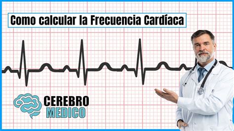 Como Calculo Mi Frecuencia Cardiaca Maxima Catalog Library