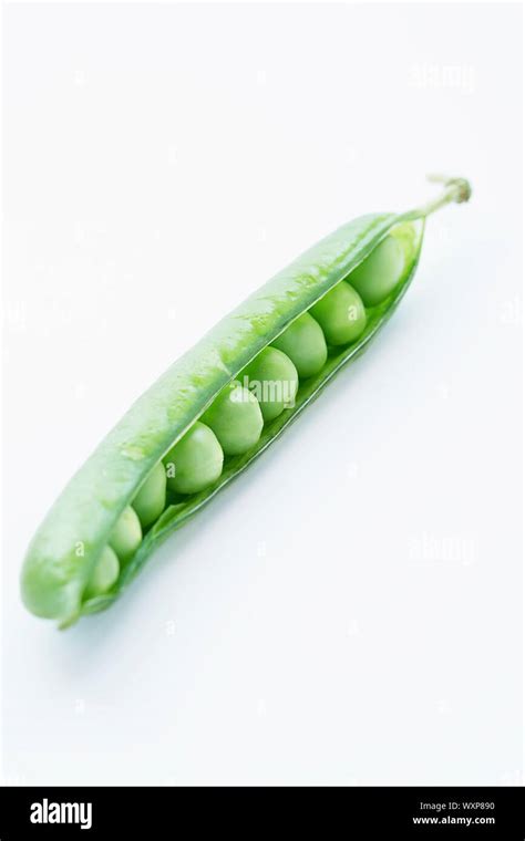 Empty Pea Pods Hi Res Stock Photography And Images Alamy