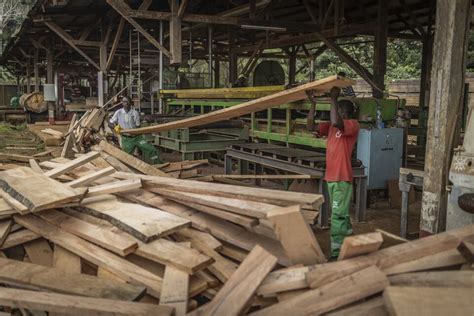 Climate Change Prevention Could Bring Big Payday for Gabon