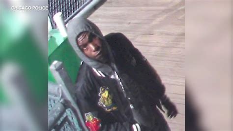 Surveillance Images Released Of Suspect In Robbery Of Cta Brown Line