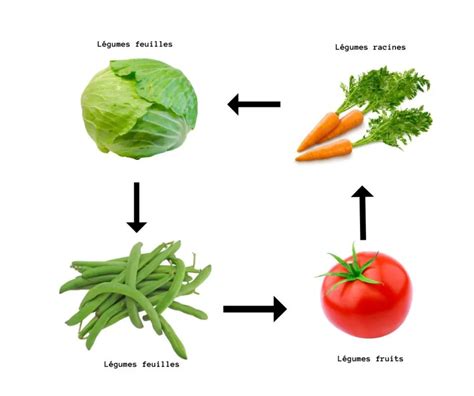 Rotation Des Cultures Au Potager La M Thode Enfin D Voil E