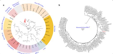 The Phylogenetic Tree Of Plant Pr Bet V Like Protein Homologs A