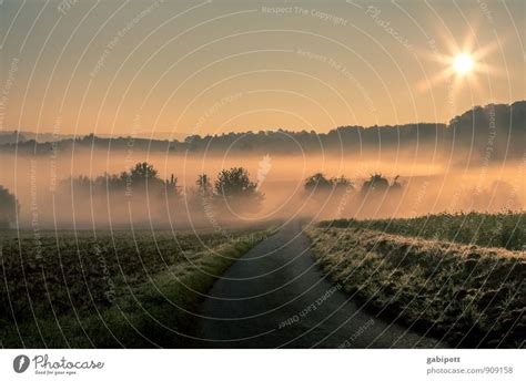 Early Morning Mist Life A Royalty Free Stock Photo From Photocase