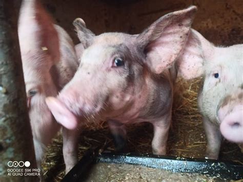 A Propos De La Ferme Du Coudray La Ferme Du Coudray