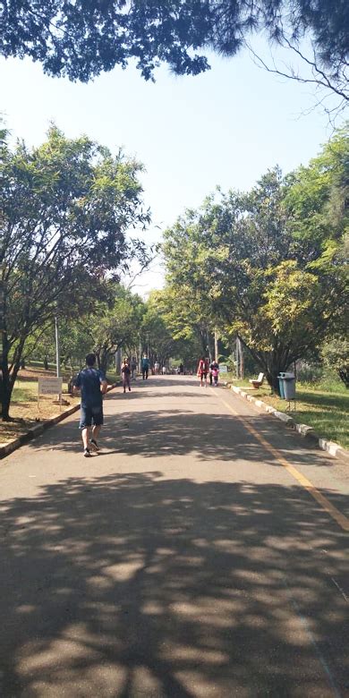 Parque Ceret No Tatuap Excelente Op O De Lazer Parque Aqu Tico