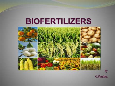 Production of biofertilizer(anabaena and nostoc) using co2