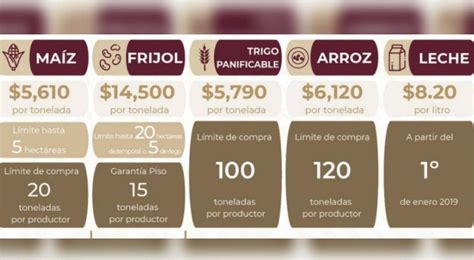 Reaparecen Precios De Garantía De Maíz Frijol Trigo Y Leche