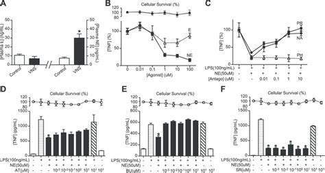 Norepinephrine Inhibits Cytokine Production In Splenocytes Via The