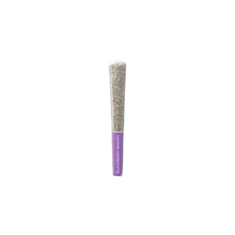 Blackberry Breath Pr Pistol And Paris 3 X 5g Earths Own Naturals