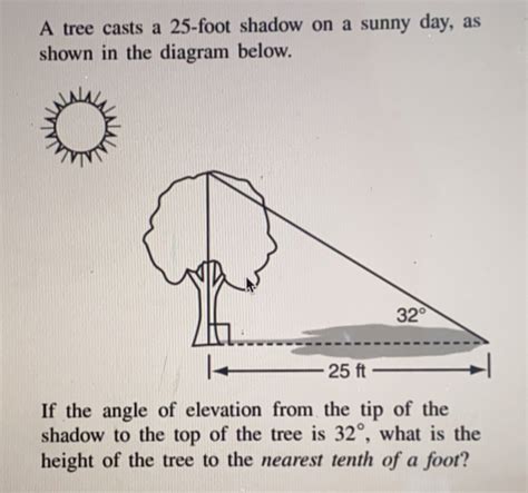 Solved A Tree Casts A Foot Shadow On A Sunny Day As Shown In The