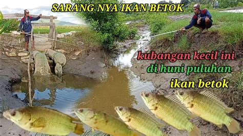 MENEMUKAN SPOT MANCING IKAN BETOK BESAR YouTube