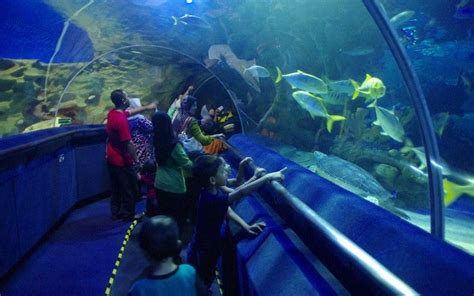 Exploring The Wonders Of Aquaria Klcc In Kuala Lumpur