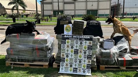 Cães farejadores localizam 1 4 tonelada de drogas em caminhão no Norte