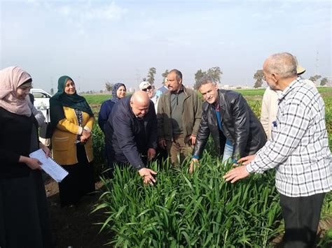 الزراعة المركزية لمكافحة الآفات تتابع المحاصيل الاستراتيجية وتوفر