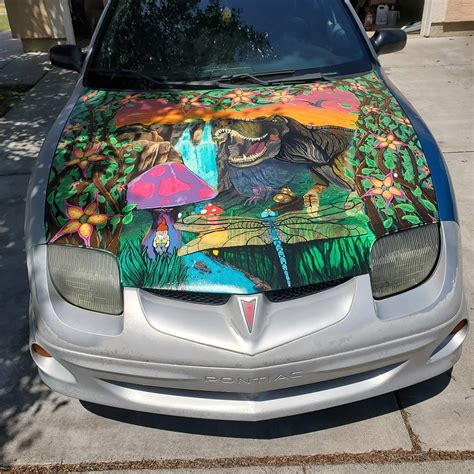 I hand painted my car... 😬 : r/Weird