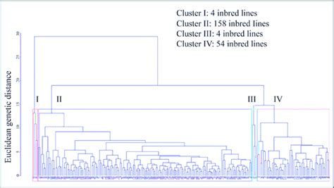 Dendrogram From Upgma Clustering For 220 Maize Inbreds Using Euclidean