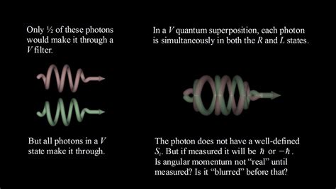 Quantum Mechanics B Photon Spin And Schr Dinger S Cat Ii Youtube