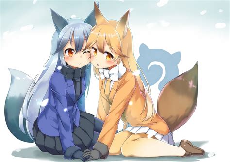 Download Silver Fox Kemono Friends Ezo Red Fox Kemono Friends Anime Kemono Friends Hd Wallpaper