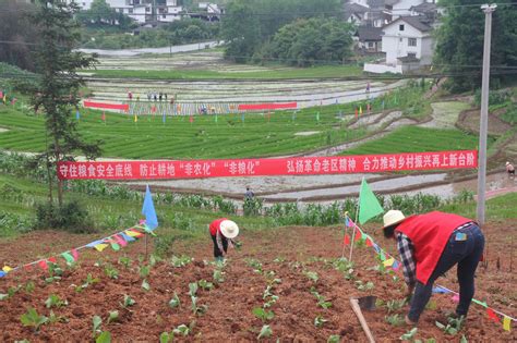 【川投电力】川投能源、天全县首届“企地共建杯”农业劳动技能大赛圆满落幕 企业动态 四川川投能源股份有限公司