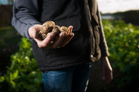 Kent Farmer Of The Year Taste Of Kent Awards