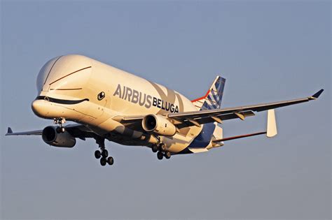 Airbus Beluga XL - Price, Specs, Photo Gallery, History - Aero Corner