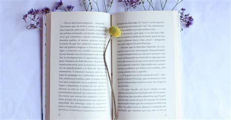 Open Book with Flowers · Free Stock Photo