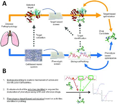 Drug Discovery Target Identification