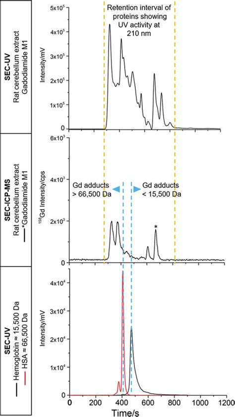 Comparison Of Size Exclusion Chromatography Sec Ultraviolet Uv And