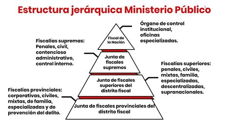 Qué es y cuáles son las funciones del Ministerio Público artículo IV