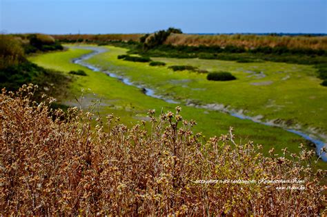 Réserve naturelle de Lilleau des Niges