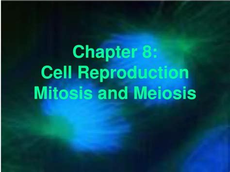 Ppt Chapter 8 Cell Reproduction Mitosis And Meiosis Powerpoint Presentation Id 4182437