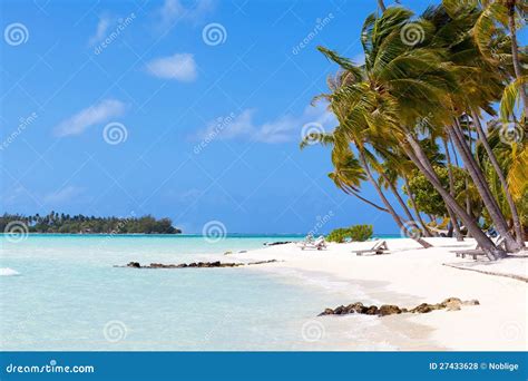 Tropical Beach at Bora Bora Stock Photo - Image of polynesia, outdoor ...