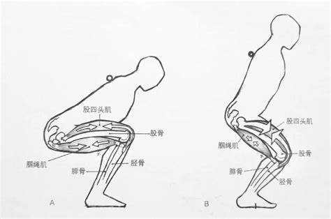 深蹲蹲不下去？髋屈曲受限如何提高灵活性？ 知乎