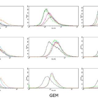 PD L1 Surface Protein Expression In Pancreatic Cancer Cell Lines A