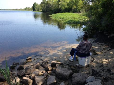 Photo: Fishing at Bushy Park in Goose Creek | Goose Creek, SC Patch