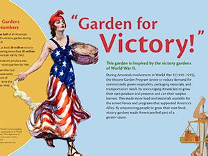 Victory Gardens Ww1 Definition | Fasci Garden