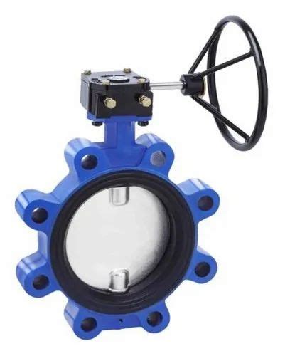 Butterfly Valve Lever Operated Double Offset Type Butterfly Valves