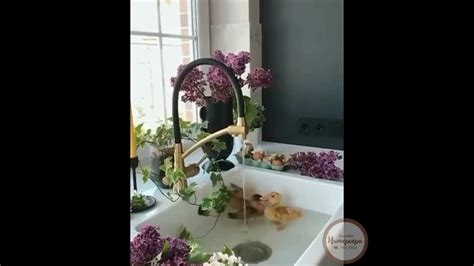 Очень красивая раковина, которая украшена сиренью. А также необычный ...