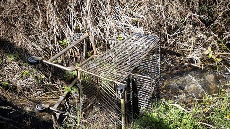 Abandoned Shopping Trolleys Sign Of ‘entitlement And Laziness Says Pt