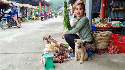 Harvest Giant Bamboo Shoots Green Vegetables Bring To The Market To Sell Chuc Thi Duong