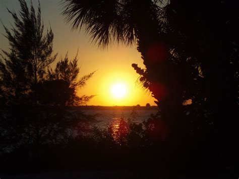 Sunset At Clearwater Beach | Clearwater beach, Clear water, Sunset