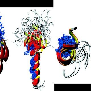 8 The 3-dimensional structures of human amylin in presence of SDS ...