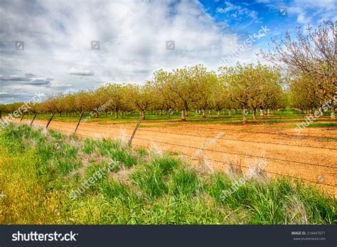 Walnut Grove California: Over 58 Royalty-Free Licensable Stock Photos ...