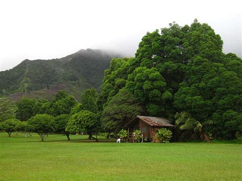 Locating Land for Tiny Houses – TinyHouseDesign