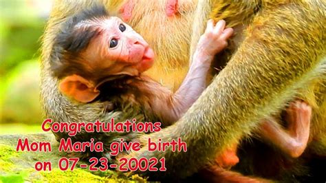 Congratulation Mom Maria Is The First Mom In Amri Group Was Give