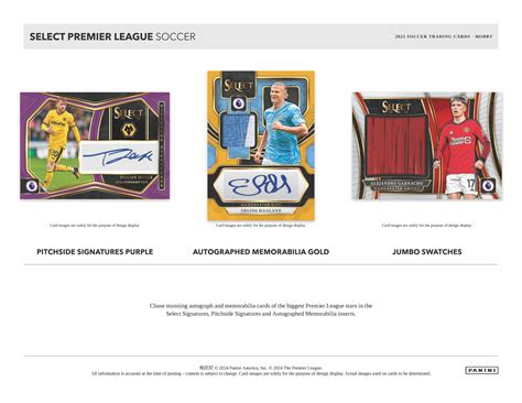 Panini Select Premier League Soccer Cards