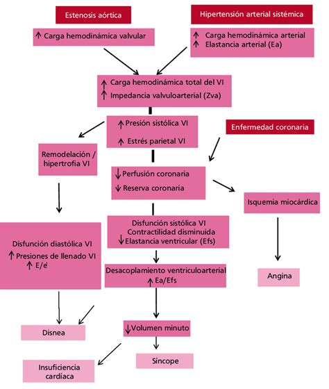 Fisiopatolog A De Los S Ntomas Y De La Insuficiencia Card Aca En La