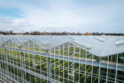 Heavy Duty Greenhouses Prospiant