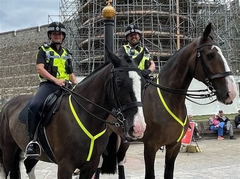 Police Using Specially Trained Horses For First Time In Two Decades At