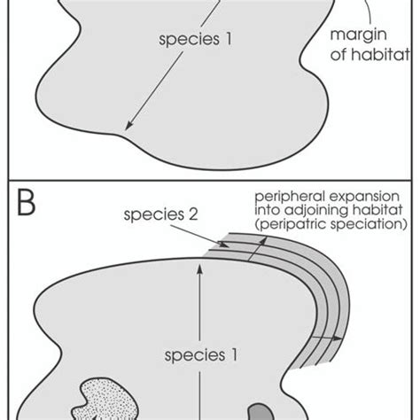 Peripatric and sympatric speciation leading to development of three ...